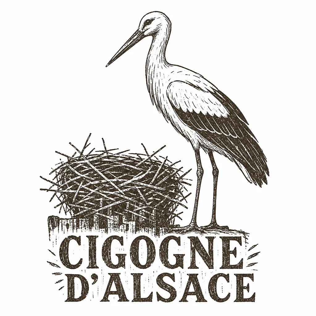 Visuel cigogne d'Alsace style gravure